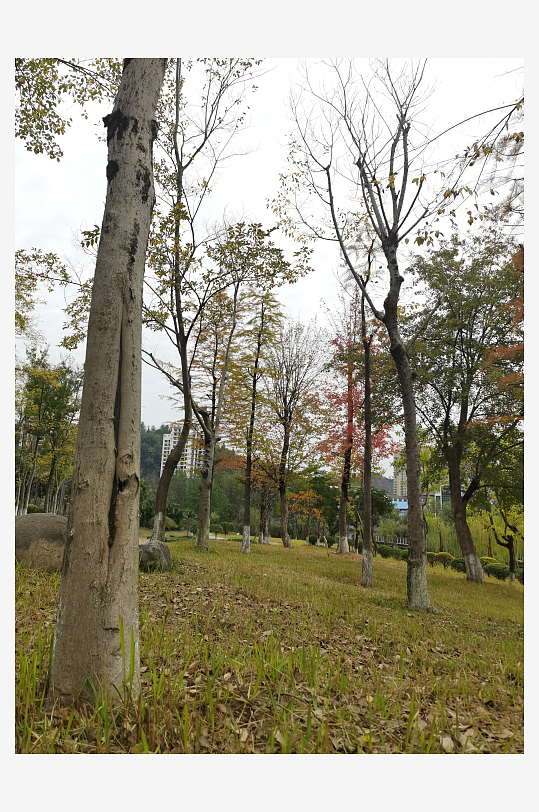 生态自然的公园环境-众图网