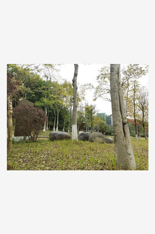 生态自然的公园环境-众图网