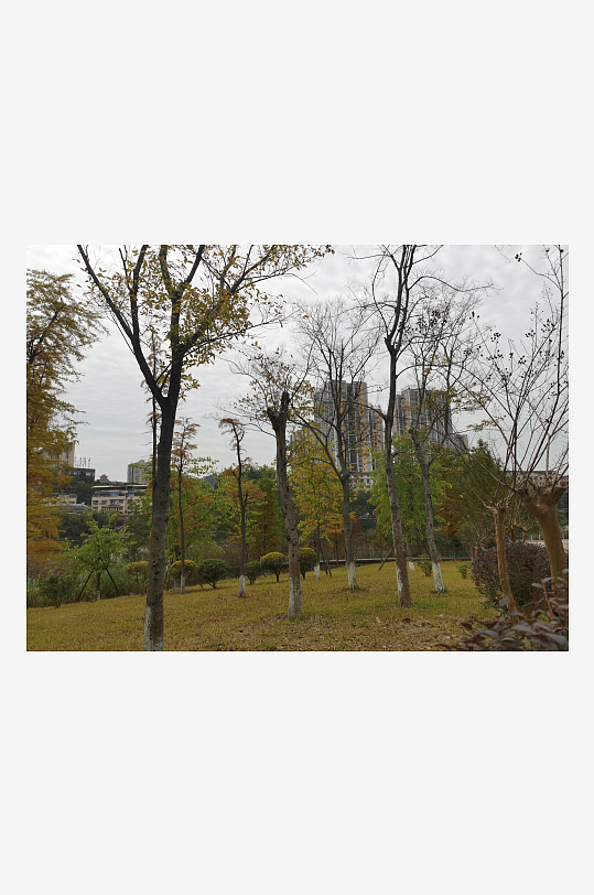 生态自然的公园环境-众图网