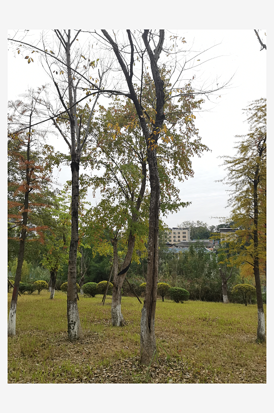 生态自然的公园环境-众图网