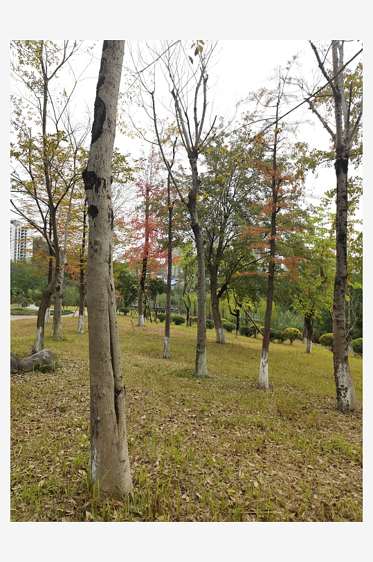 生态自然的公园环境-众图网