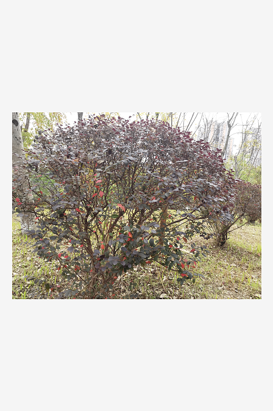 生态自然的公园环境-众图网