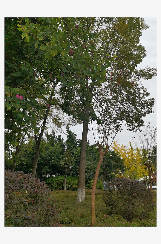 生态自然的休闲环境-众图网