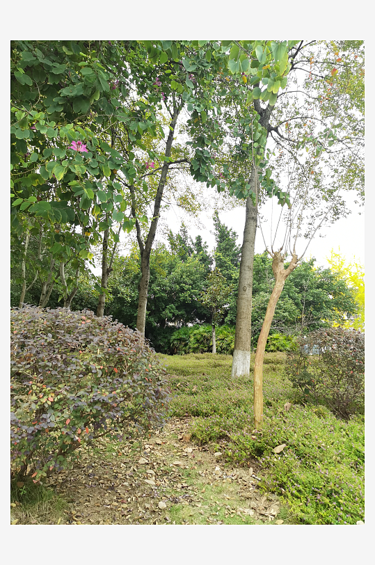 生态自然的休闲环境-众图网