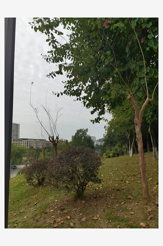 生态自然的休闲环境-众图网