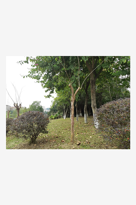 生态自然的休闲环境-众图网