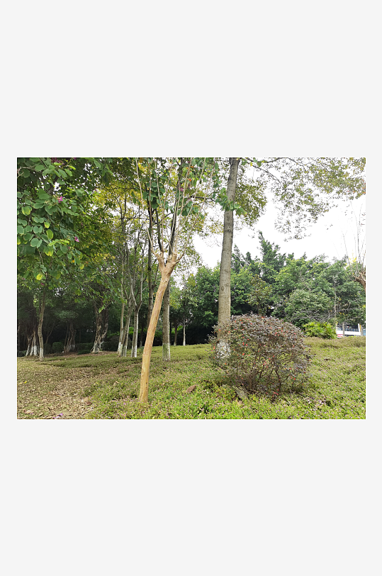 生态自然的休闲环境-众图网