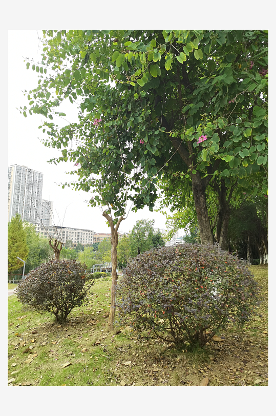 生态自然的休闲环境-众图网