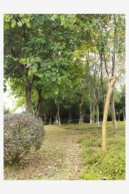 生态自然的休闲环境-众图网