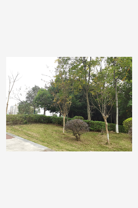 生态自然的休闲环境-众图网