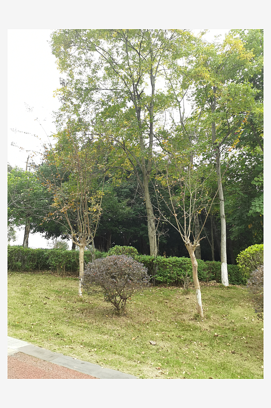 生态自然的休闲环境-众图网