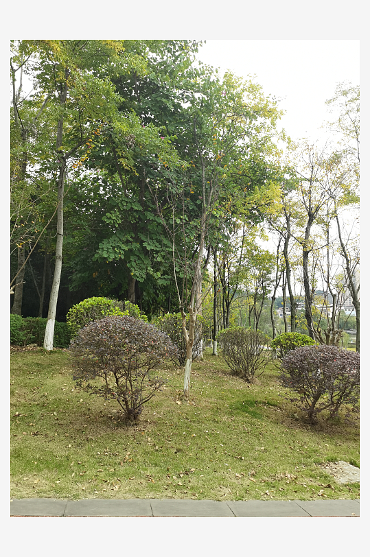 生态自然的休闲环境-众图网