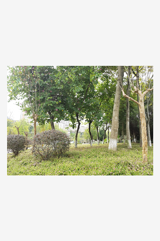 生态自然的休闲环境-众图网