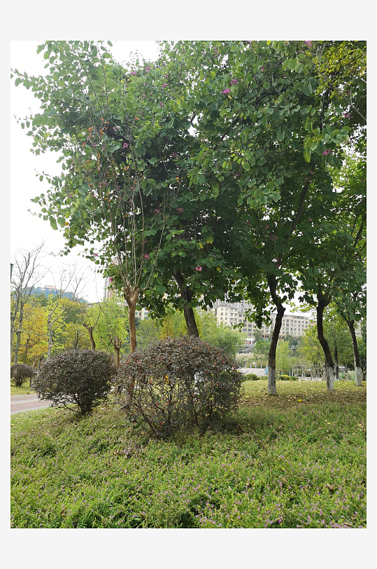 生态自然的休闲户外-众图网