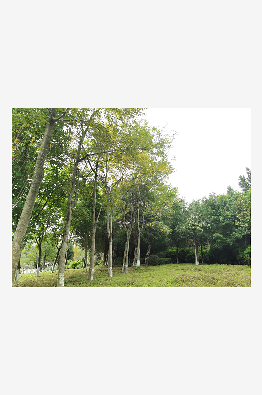 生态自然的休闲户外-众图网