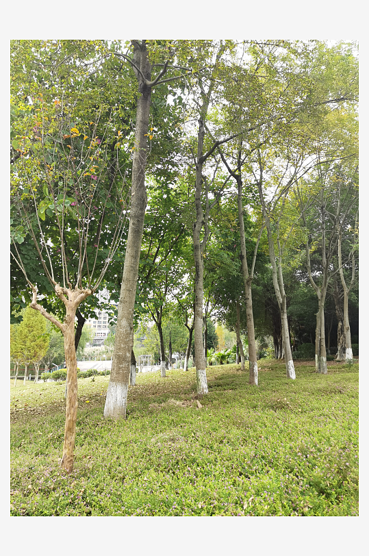 生态自然的休闲户外-众图网