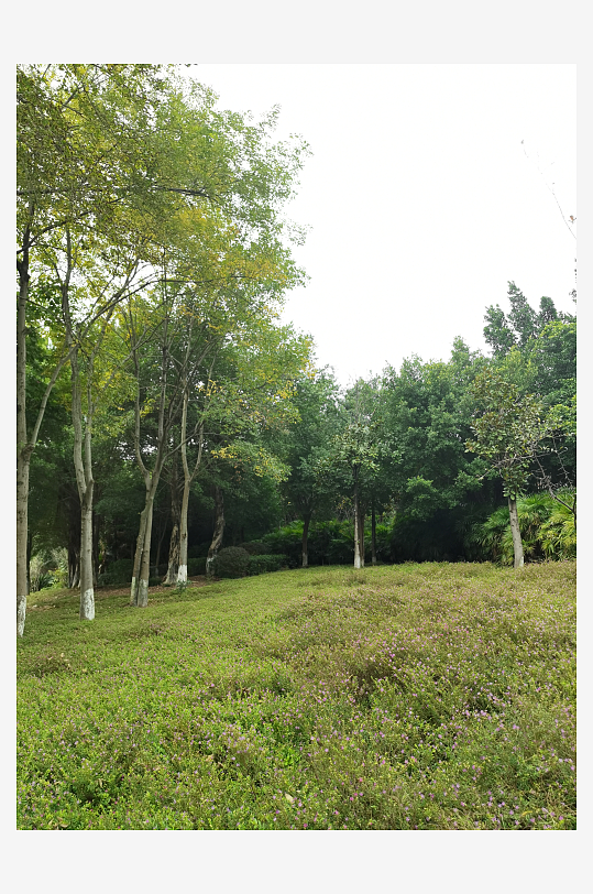 生态自然的休闲户外-众图网