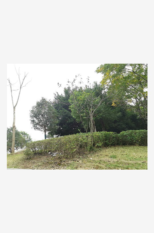 生态自然的休闲户外-众图网