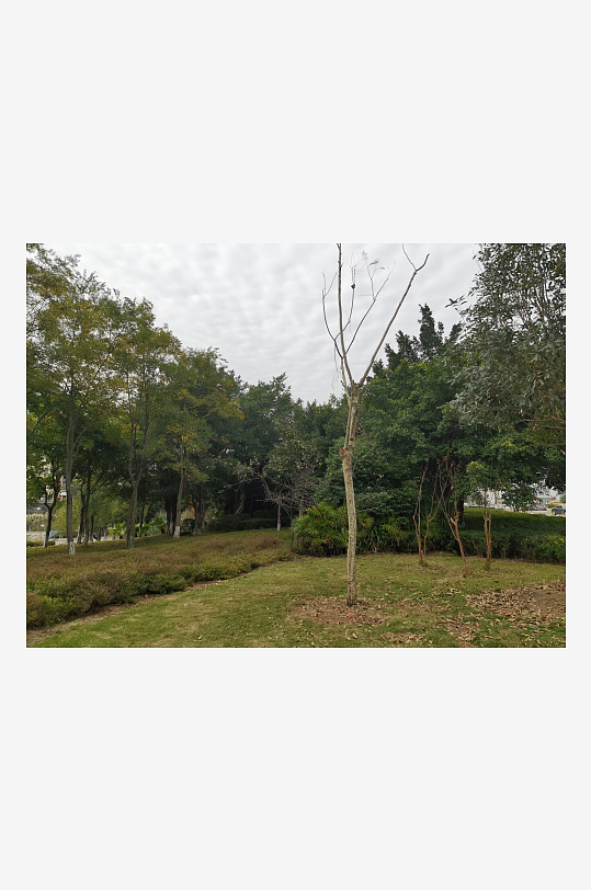 生态自然的休闲户外-众图网