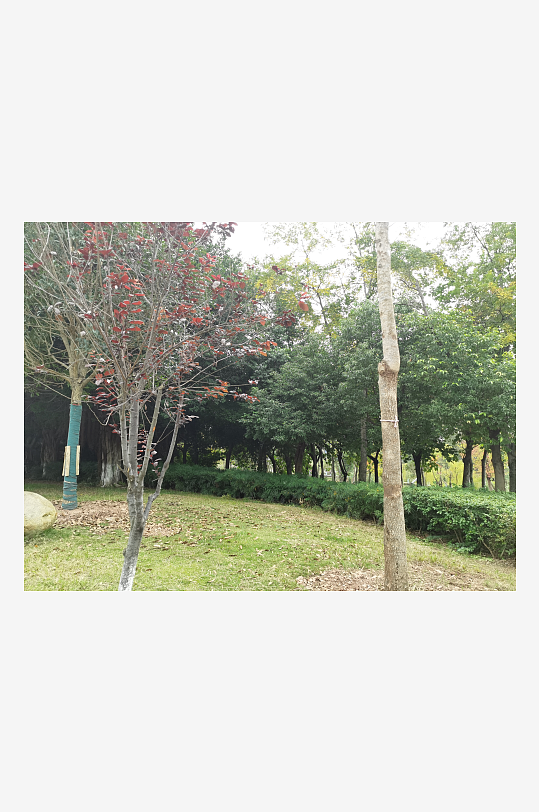 生态自然的休闲户外-众图网