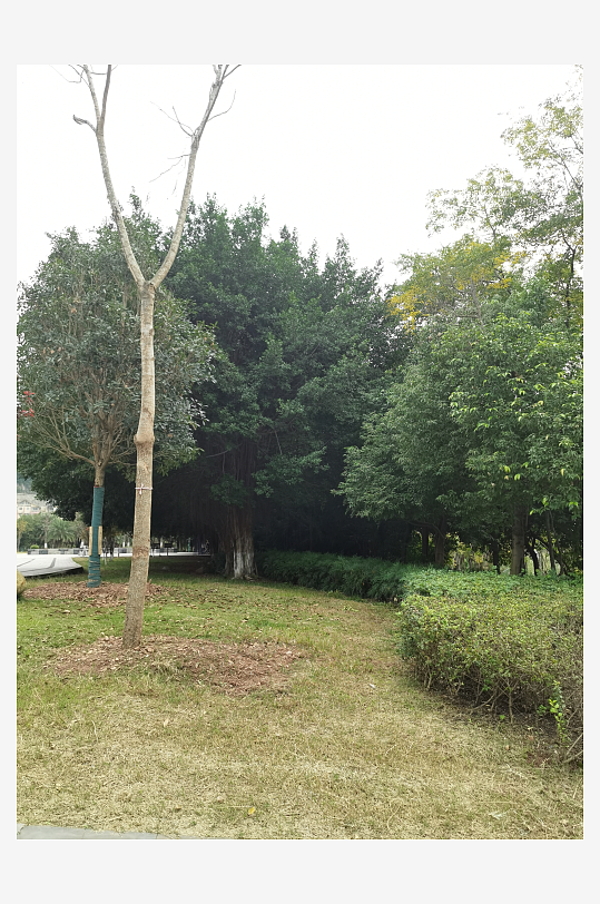 生态自然的休闲户外-众图网