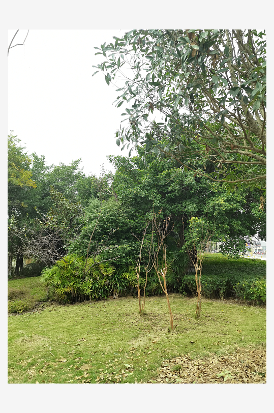 生态自然的休闲户外-众图网