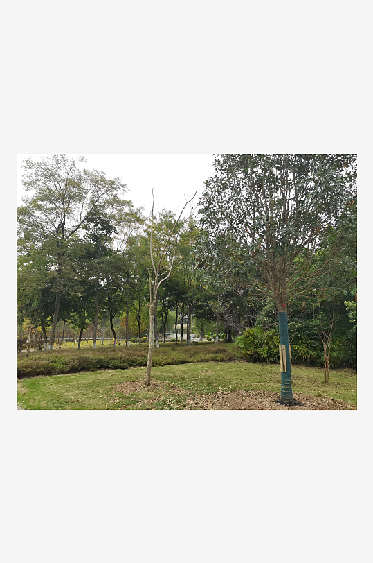 生态自然的休闲户外-众图网