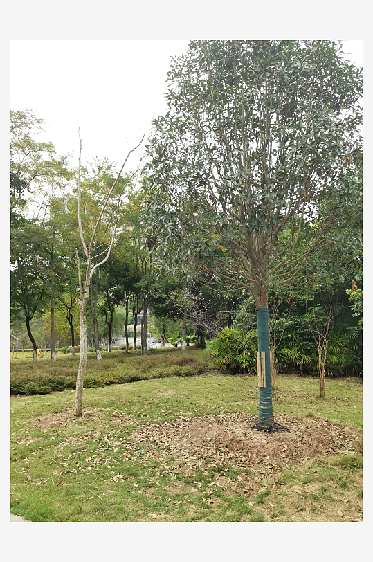 生态自然的休闲户外-众图网