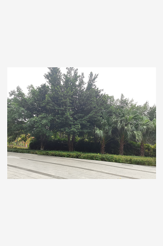 清新自然的休闲户外-众图网