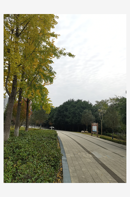 清新自然的休闲户外-众图网