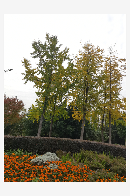 舒适清新的户外环境-众图网