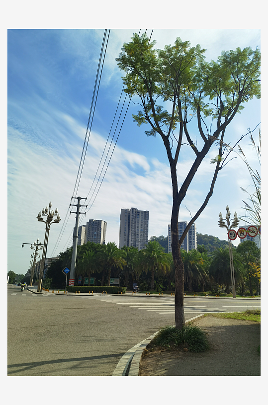 舒适清新的户外环境-众图网