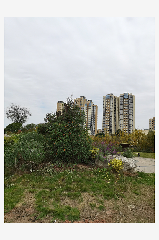 舒适清新的户外环境-众图网