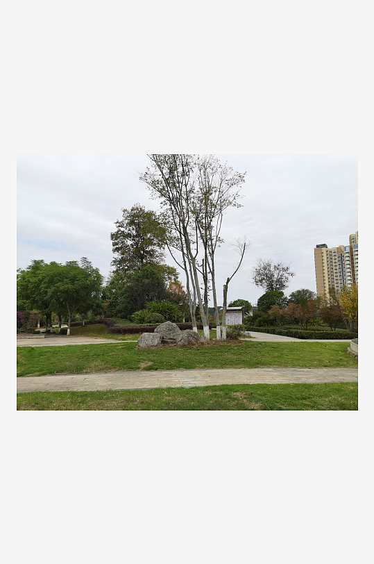 舒适清新的户外环境-众图网