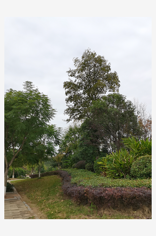 舒适清新的户外环境-众图网