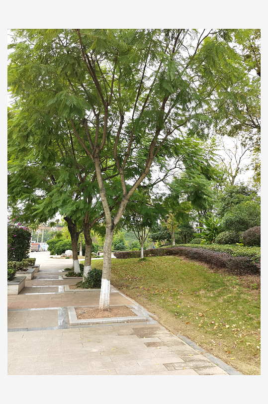 舒适宜居的户外环境-众图网