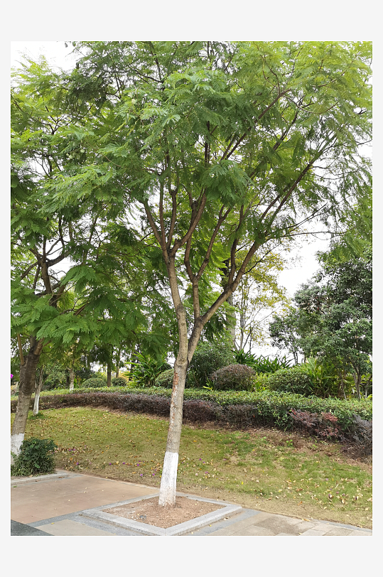 舒适宜居的户外环境-众图网