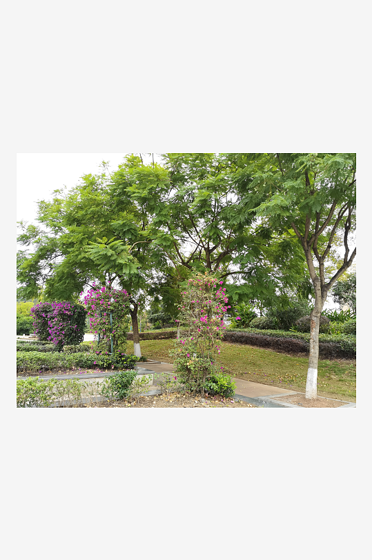 舒适宜居的户外环境-众图网