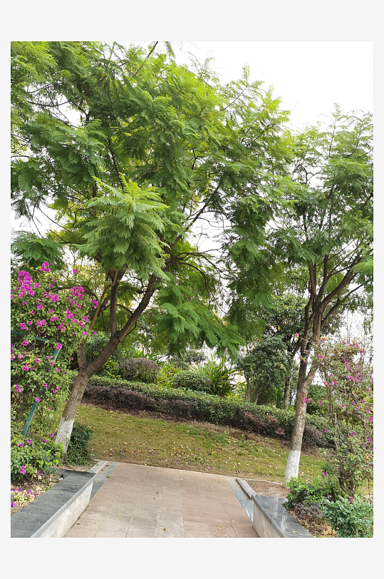 舒适宜居的户外环境-众图网