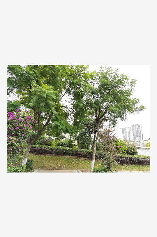 舒适宜居的户外环境-众图网