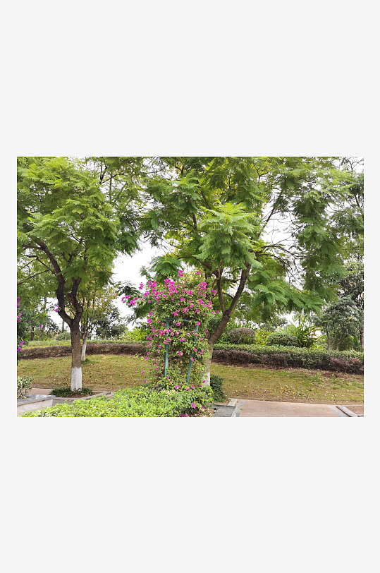 舒适宜居的户外环境-众图网