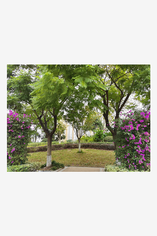 舒适宜居的户外环境-众图网