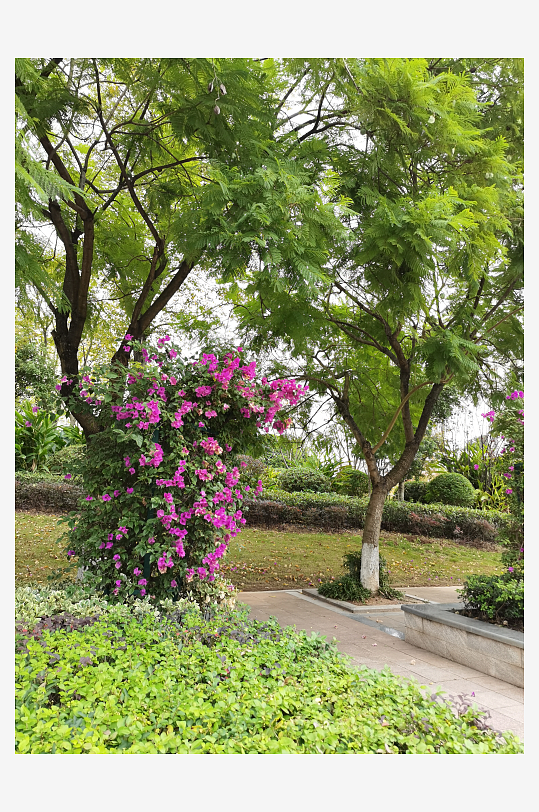 舒适宜居的户外环境-众图网