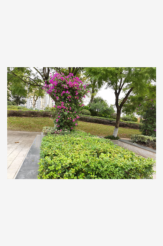 舒适宜居的户外环境-众图网