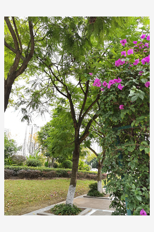 清新宜居的户外环境-众图网