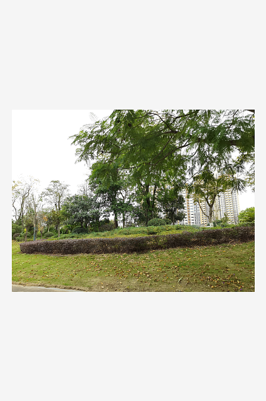 清新宜居的户外环境-众图网