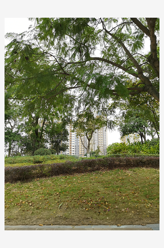 清新宜居的户外环境-众图网