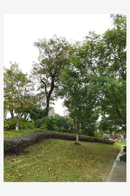 清新宜居的户外环境-众图网