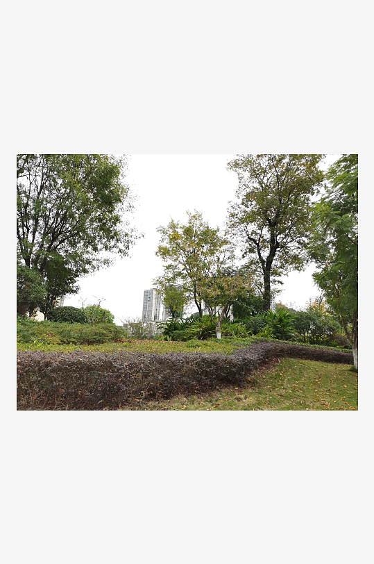 清新宜居的户外环境-众图网