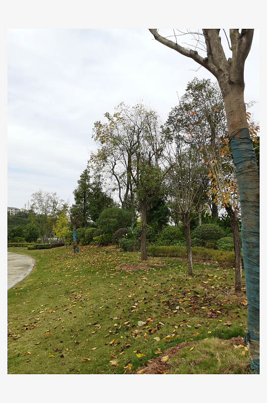 清新宜居的户外环境-众图网